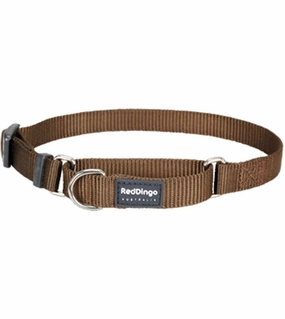 Red Dingo Martingale Choke Prevention Dog Collar (Brown) dog charms,dog ID