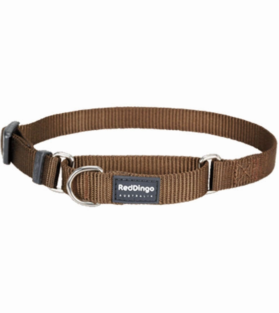 Red Dingo Martingale Choke Prevention Dog Collar (Brown) dog charms,dog ID