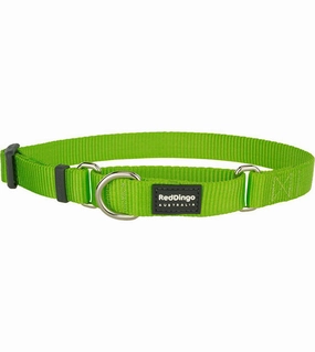 Red Dingo Martingale Choke Prevention Dog Collar (Lime Green) dog charms,dog ID