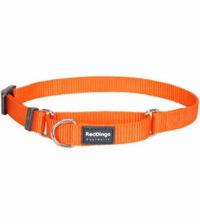Red Dingo Martingale Choke Prevention Dog Collar (Orange) dog charms,dog ID