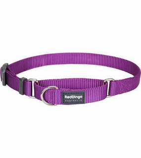 Red Dingo Martingale Choke Prevention Dog Collar (Purple) dog charms,dog ID
