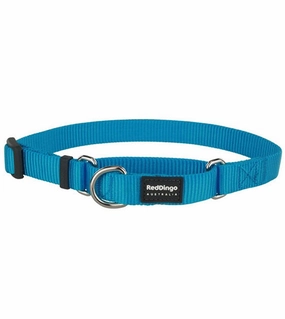 Red Dingo Martingale Choke Prevention Dog Collar (Turquoise) dog charms,dog ID