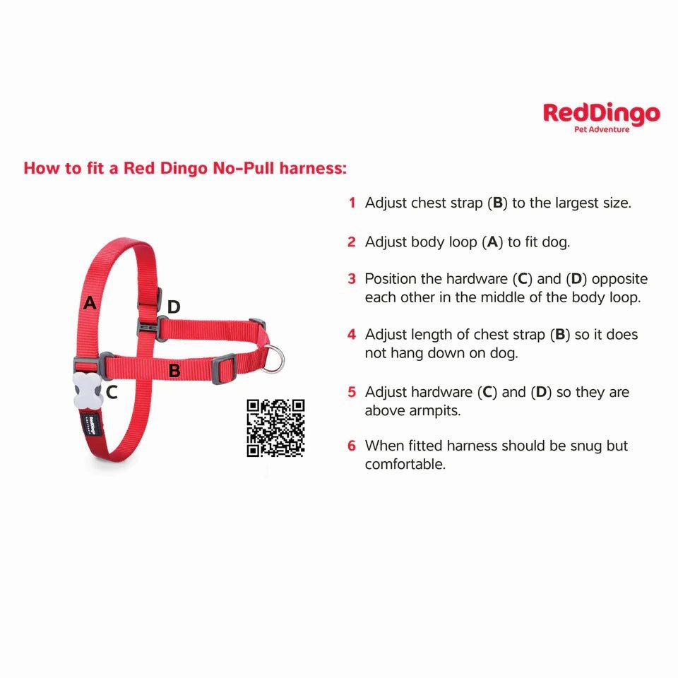 Red Dingo No-Pull Dog Harness (Black)