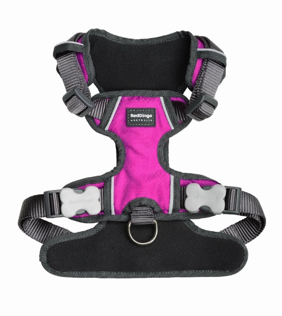 Red Dingo Padded Dog Harness (Hot Pink)