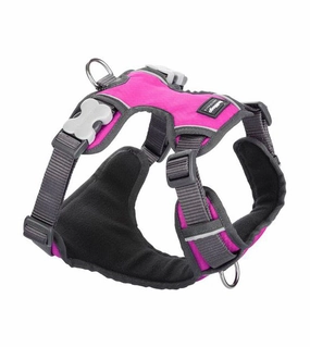 Red Dingo Padded Dog Harness (Hot Pink) dog joint care,hip support