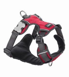 Red Dingo Padded Dog Harness (Red) dog joint care,hip support