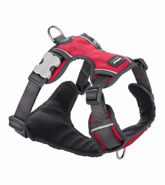 Red Dingo Padded Dog Harness (Red) dog joint care,hip support