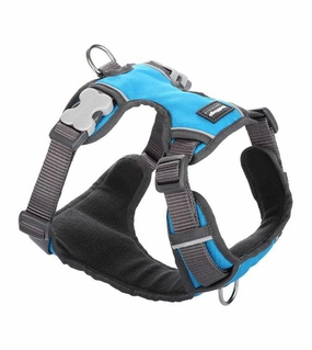 Red Dingo Padded Dog Harness (Turquoise) dog joint care,hip support