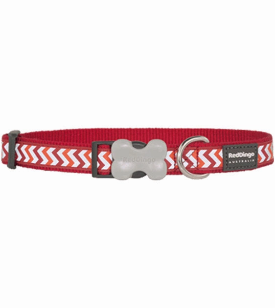 Red Dingo Ziggy Reflective Dog Collar (Red) dog charms,dog ID