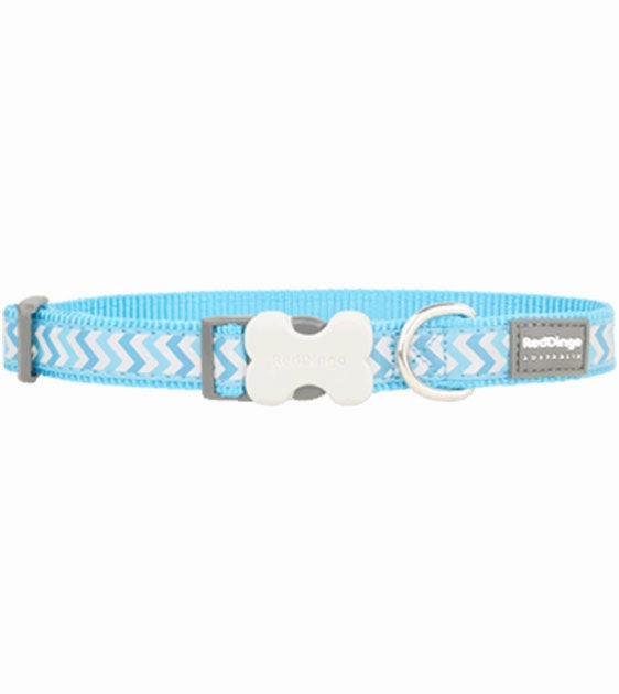Red Dingo Ziggy Reflective Dog Collar (Turquoise) dog charms,dog ID