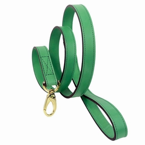 Regency Collection Dog Leash Kelly Green dog mixer,pet meal booster