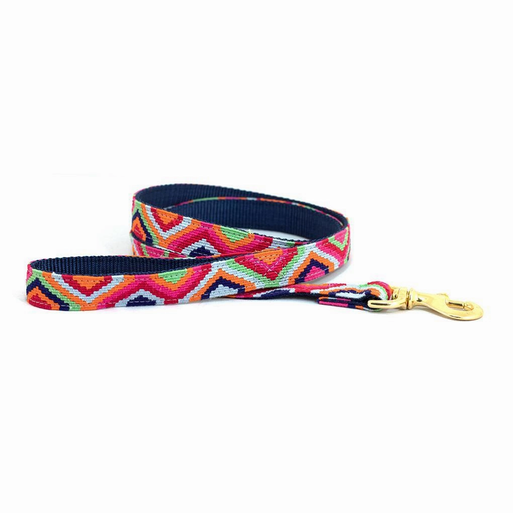 Retro Dog Leash dog mobility,outdoor pet aid