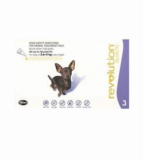 Revolution Heartworm, Flea & Tick Treatment For Extra Small Dogs (5.1lb - 10lb/ 2.6kg - 5kg) small breed food,tiny dog food