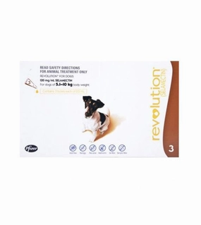 Revolution Heartworm, Flea & Tick Treatment For Small Dogs (10.1 - 20lb / 5.1kg - 10.0kg) small breed food,tiny dog food
