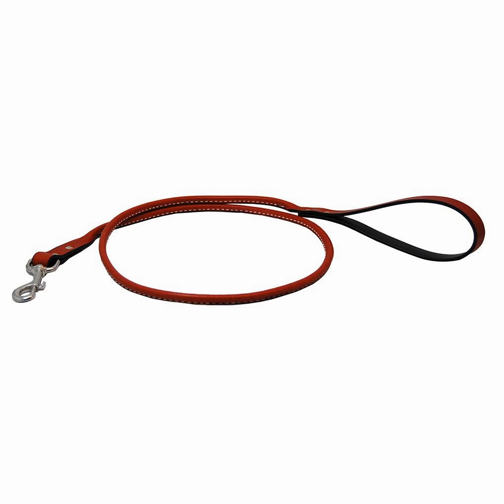 Rolled Leather Dog Leash