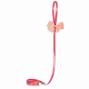 Roses Dog Leash Coral dog mobility,outdoor pet aid