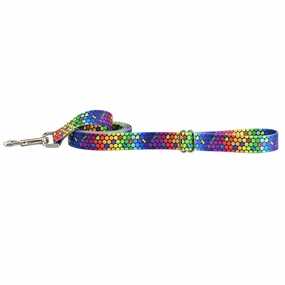 ROY G BIV EarthStyle Dog Leash dog mobility,outdoor pet aid