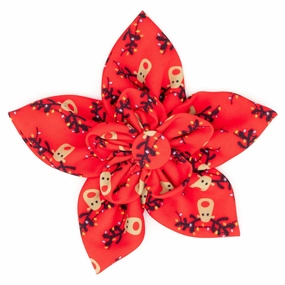 Rudy Dog Collar Flower