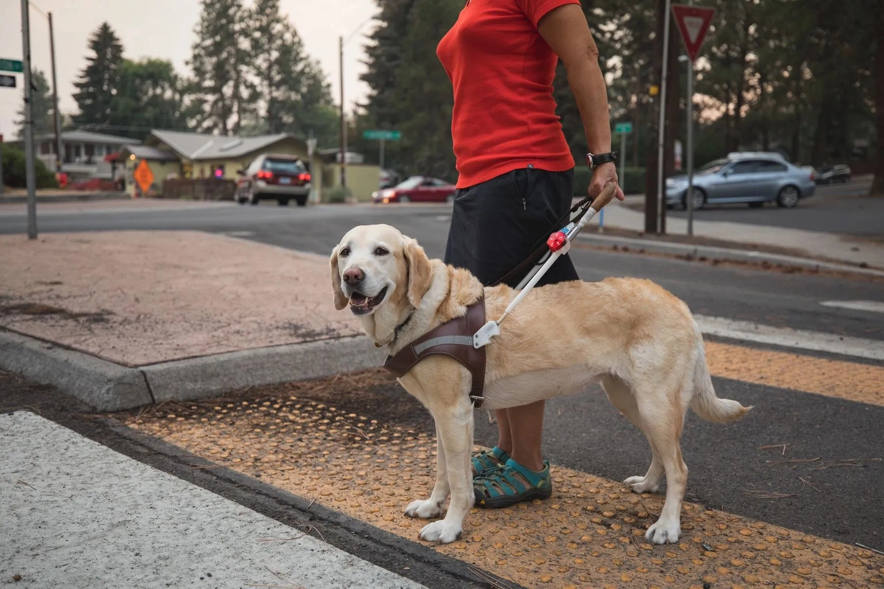 Ruffwear Audible Beacon? Waterproof Rechargeable LED Safety Light (Red Currant)