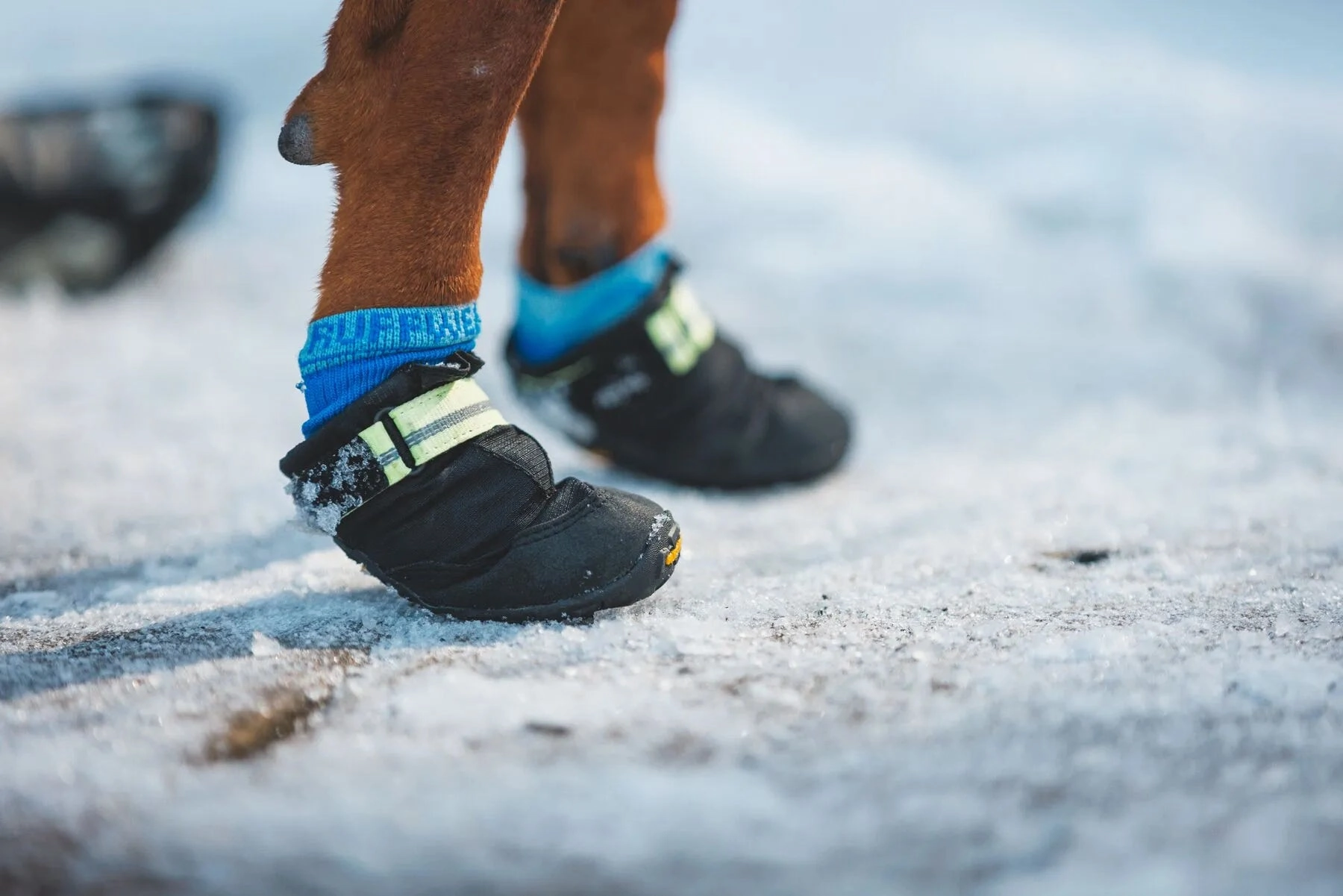 Ruffwear Bark'n Boot Quick Dry Dog Socks (Blue Pool)