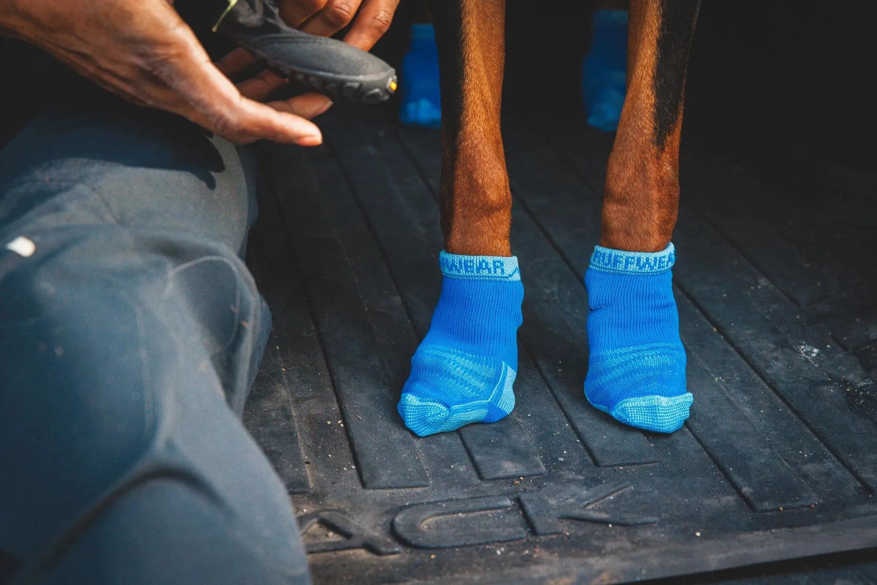 Ruffwear Bark'n Boot Quick Dry Dog Socks (Blue Pool)