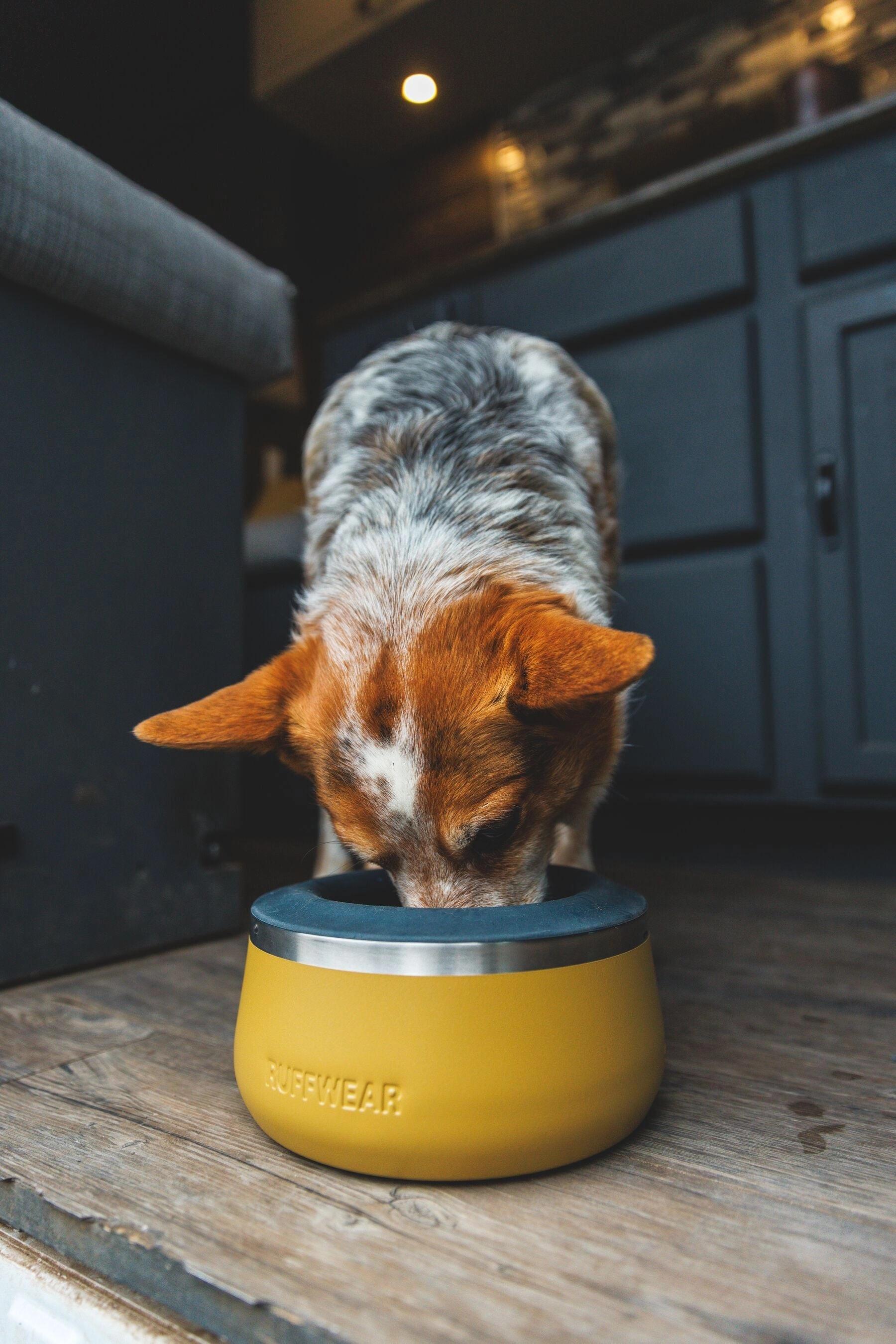 Ruffwear Basecamp Anti-Splash Dog Bowl Insert (Basalt Gray)