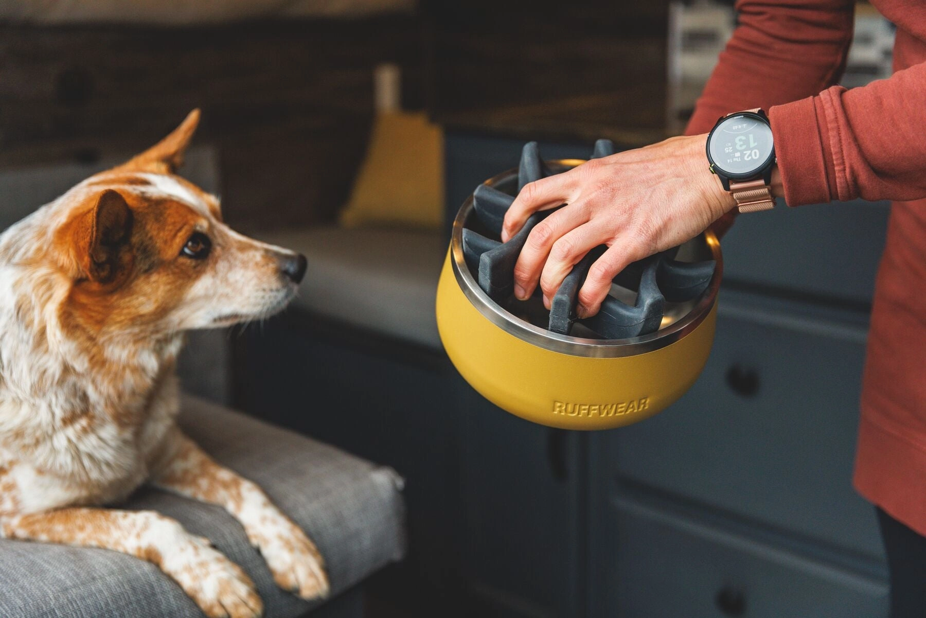 Ruffwear Basecamp Anti-Splash Dog Bowl Insert (Basalt Gray)