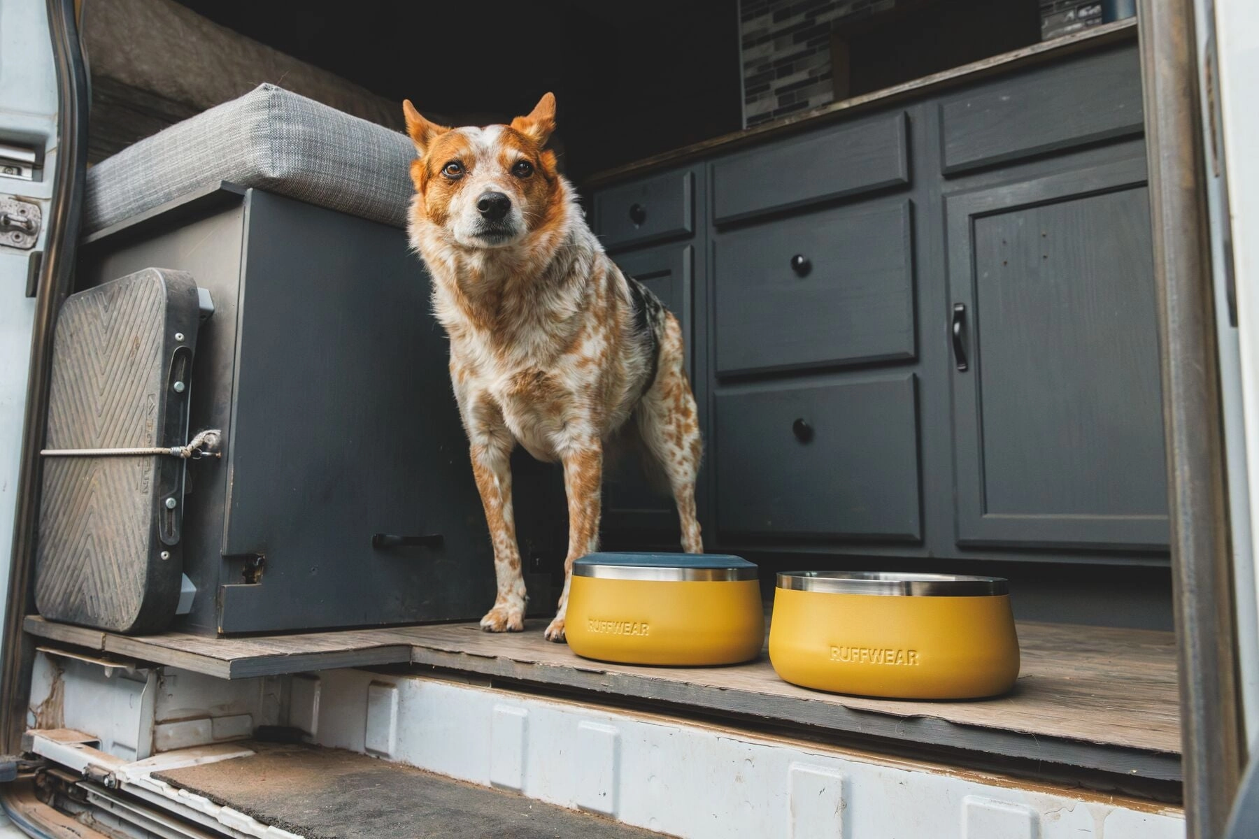 Ruffwear Basecamp Anti-Splash Dog Bowl Insert (Basalt Gray)