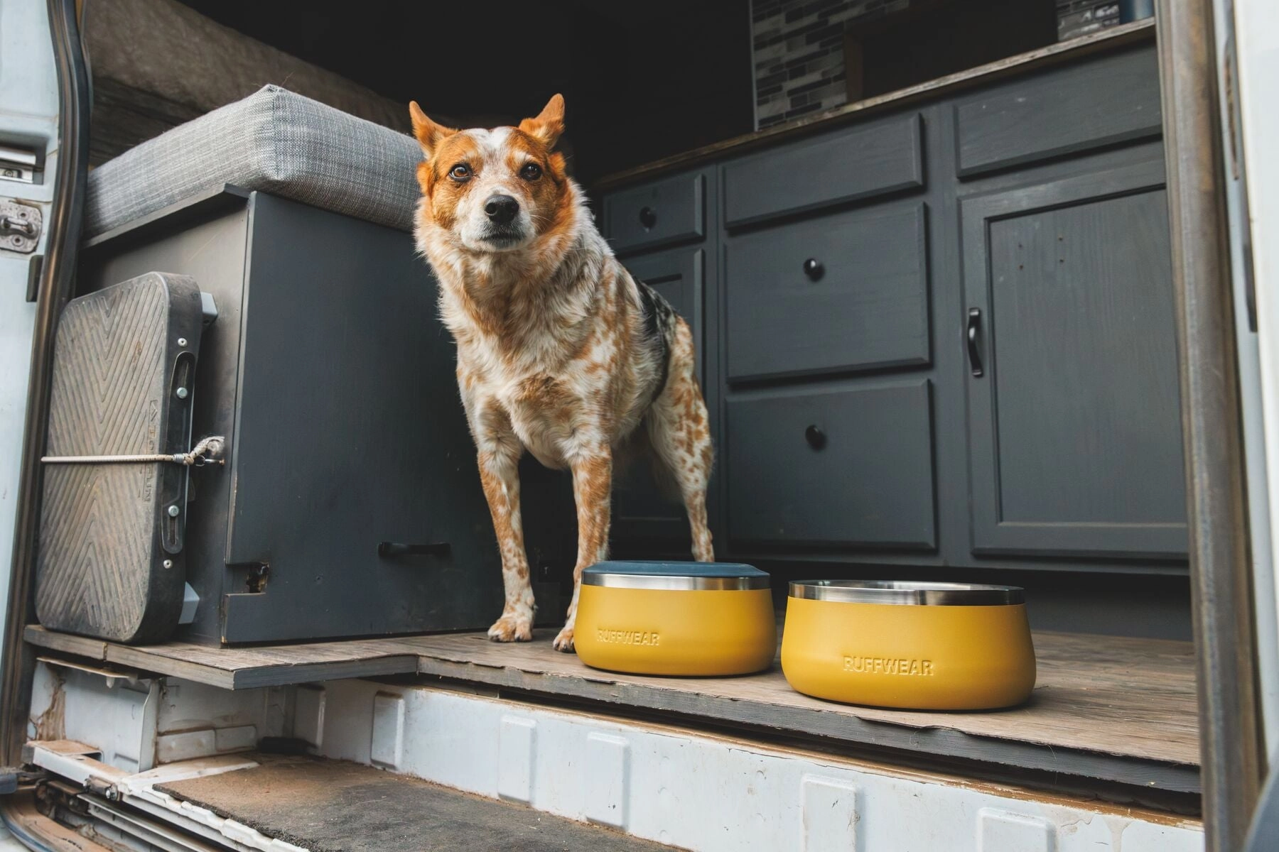 Ruffwear Basecamp Anti-Splash Dog Bowl Insert (Basalt Gray)