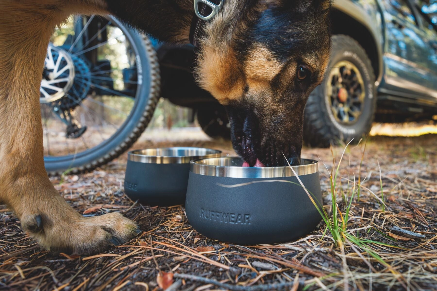 Ruffwear Basecamp Sound-Dampening Hard-Sided Dog Bowl (Basalt Gray)