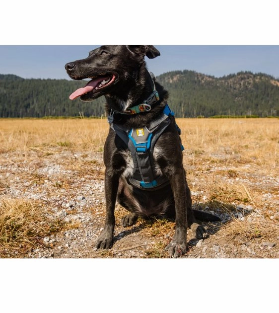 Ruffwear Brush Guard? Harness Add-On For Dogs (Chest Protection & Lifting Support)