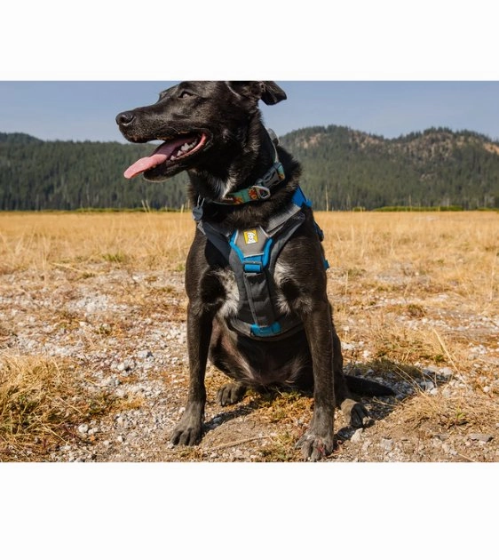 Ruffwear Brush Guard? Harness Add-On For Dogs (Chest Protection & Lifting Support)