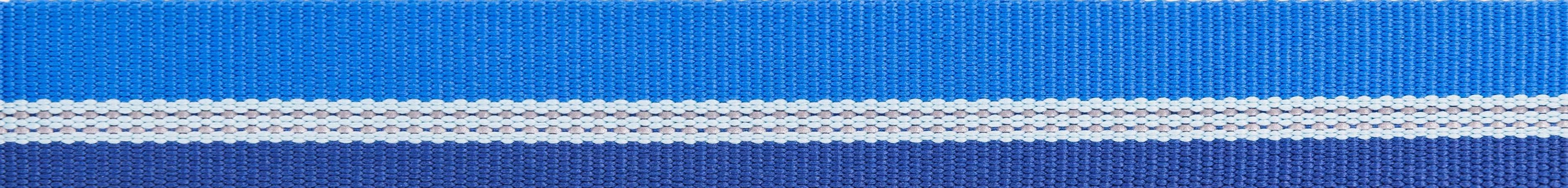 Ruffwear Chain Reaction? Dog Collar (Blue Pool)