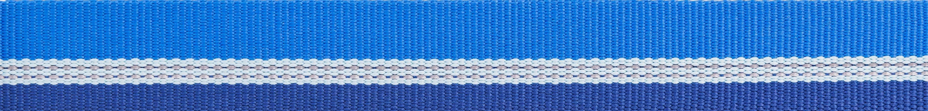 Ruffwear Chain Reaction? Dog Collar (Blue Pool)