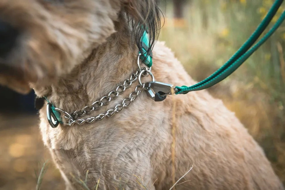 Ruffwear Chain Reaction? Dog Collar (Blue Pool)