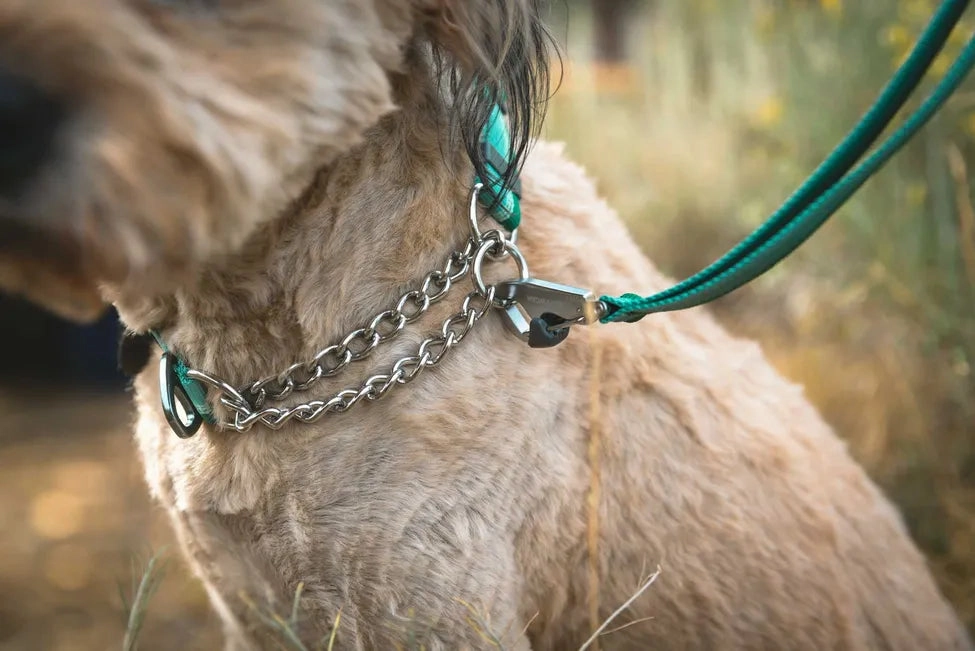 Ruffwear Chain Reaction? Dog Collar (River Rock Green)