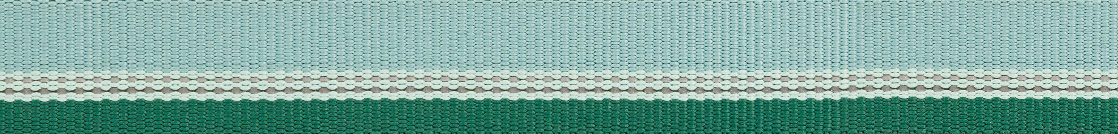 Ruffwear Chain Reaction? Dog Collar (River Rock Green)
