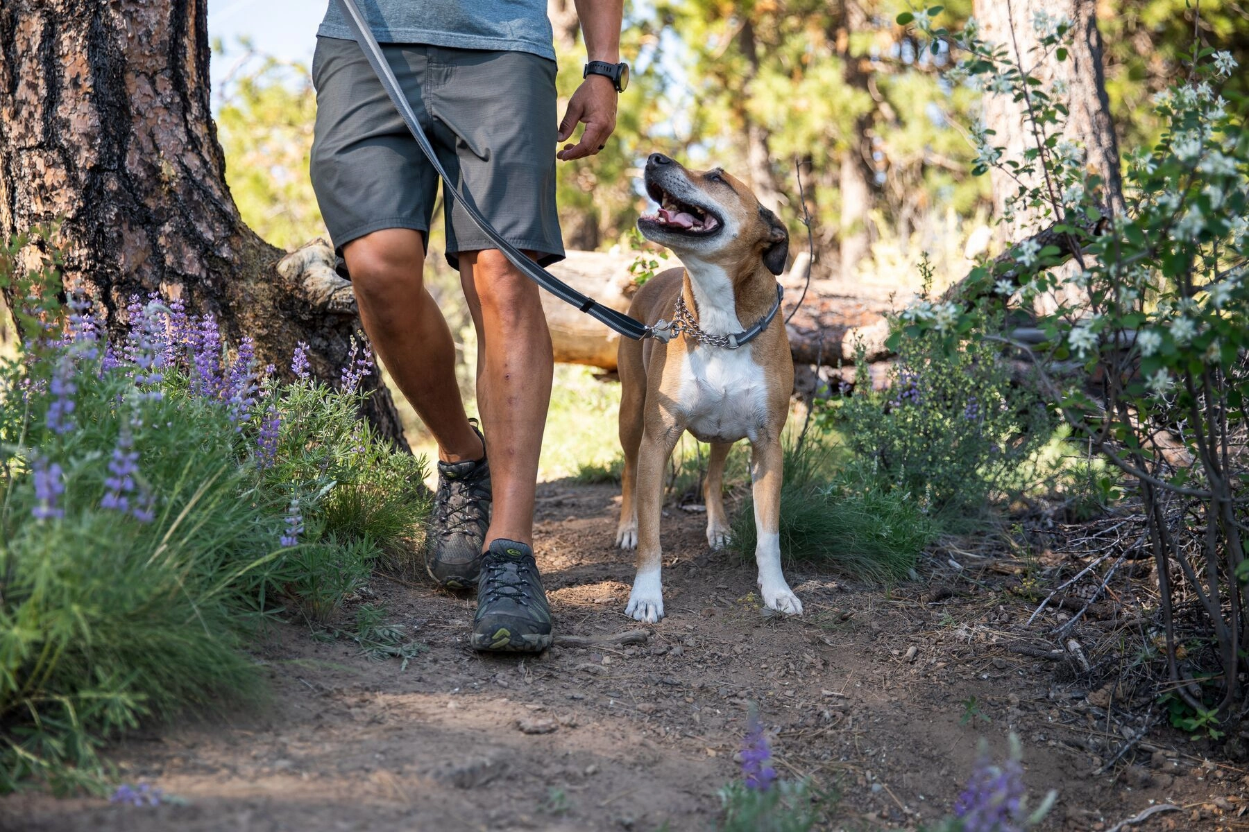 Ruffwear Chain Reaction? Reflective Martingale Dog Collar (Granite Gray)