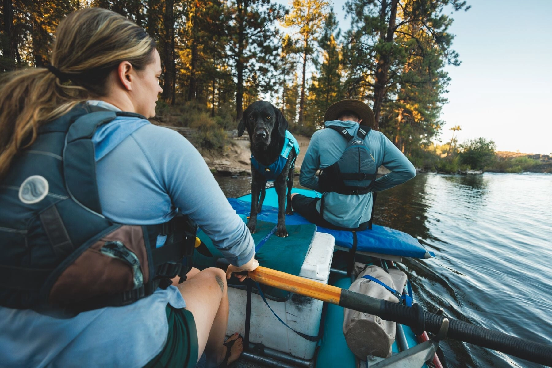 Ruffwear Confluence Harness-Style Dog Life Jacket (Biolumin Blue)