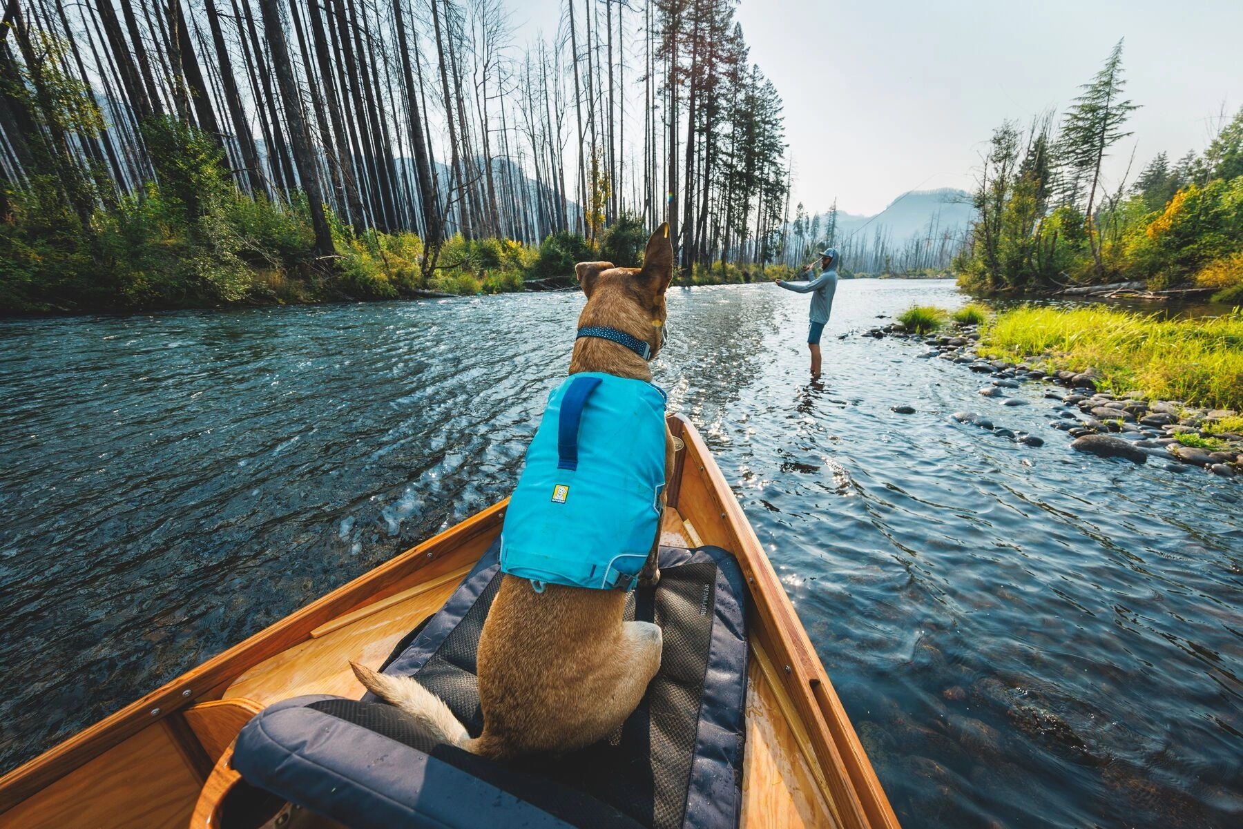 Ruffwear Confluence Harness-Style Dog Life Jacket (Biolumin Blue)