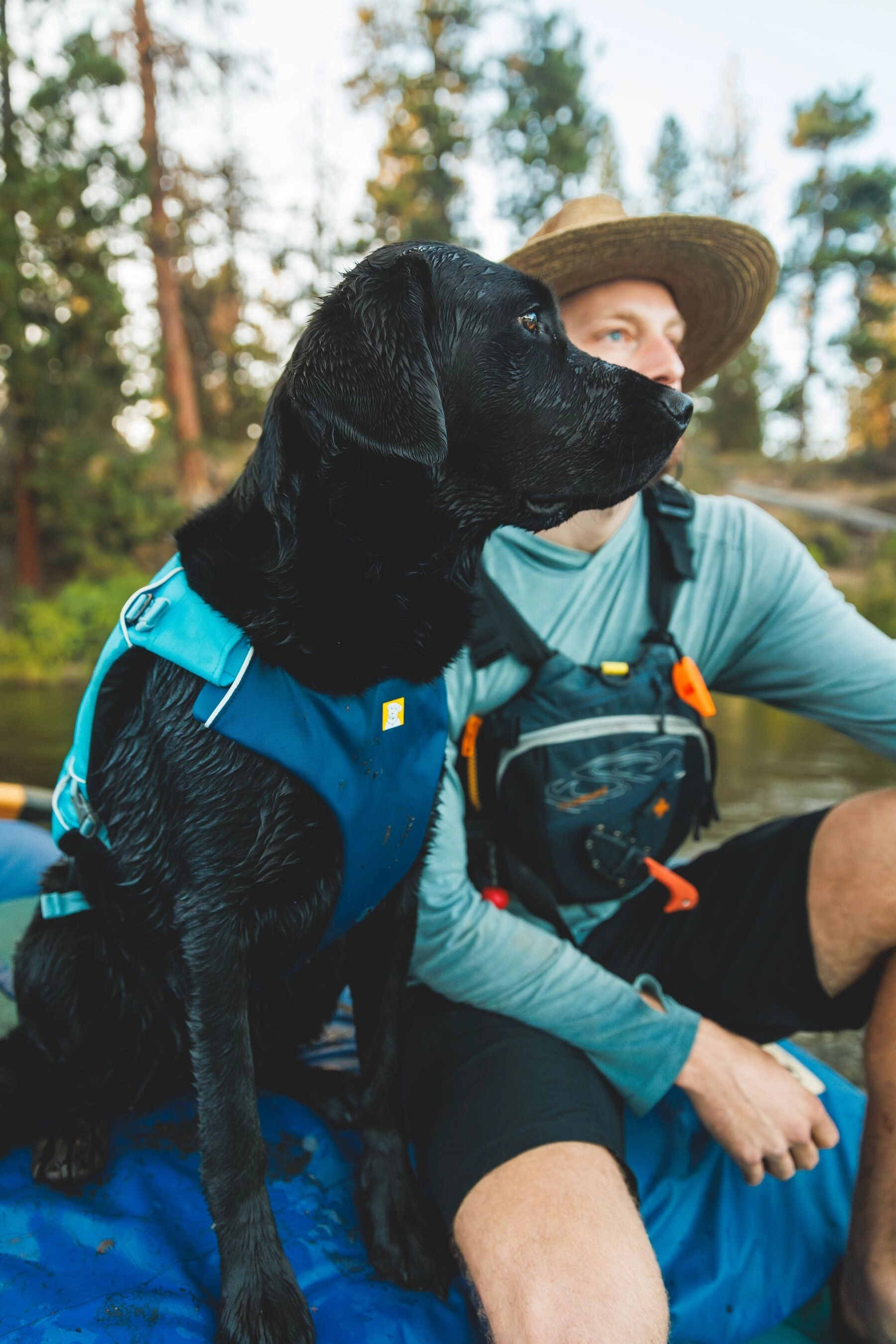 Ruffwear Confluence? Harness-Style Dog Life Jacket (Tangelo Orange)