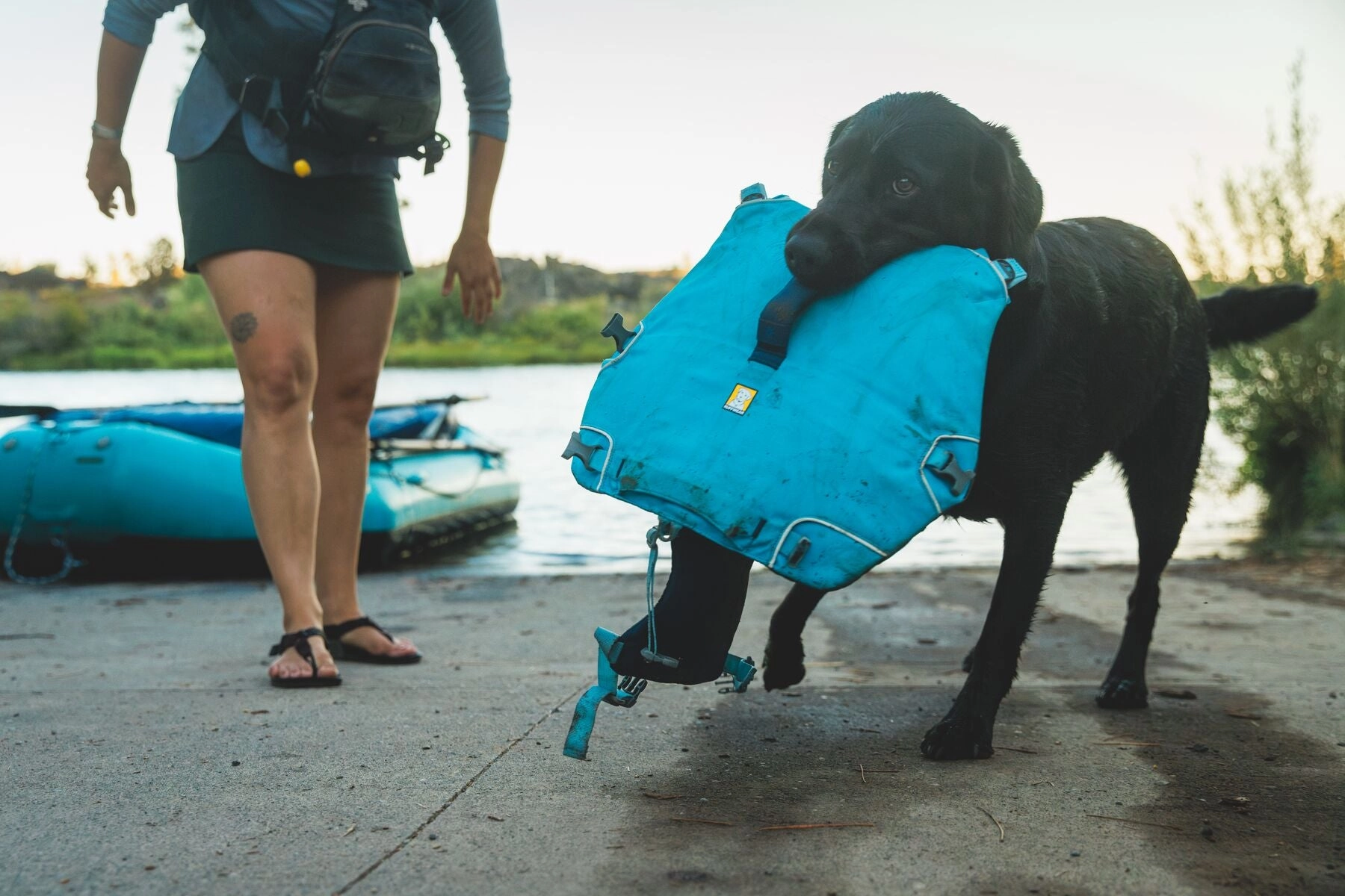 Ruffwear Confluence? Harness-Style Dog Life Jacket (Tangelo Orange)