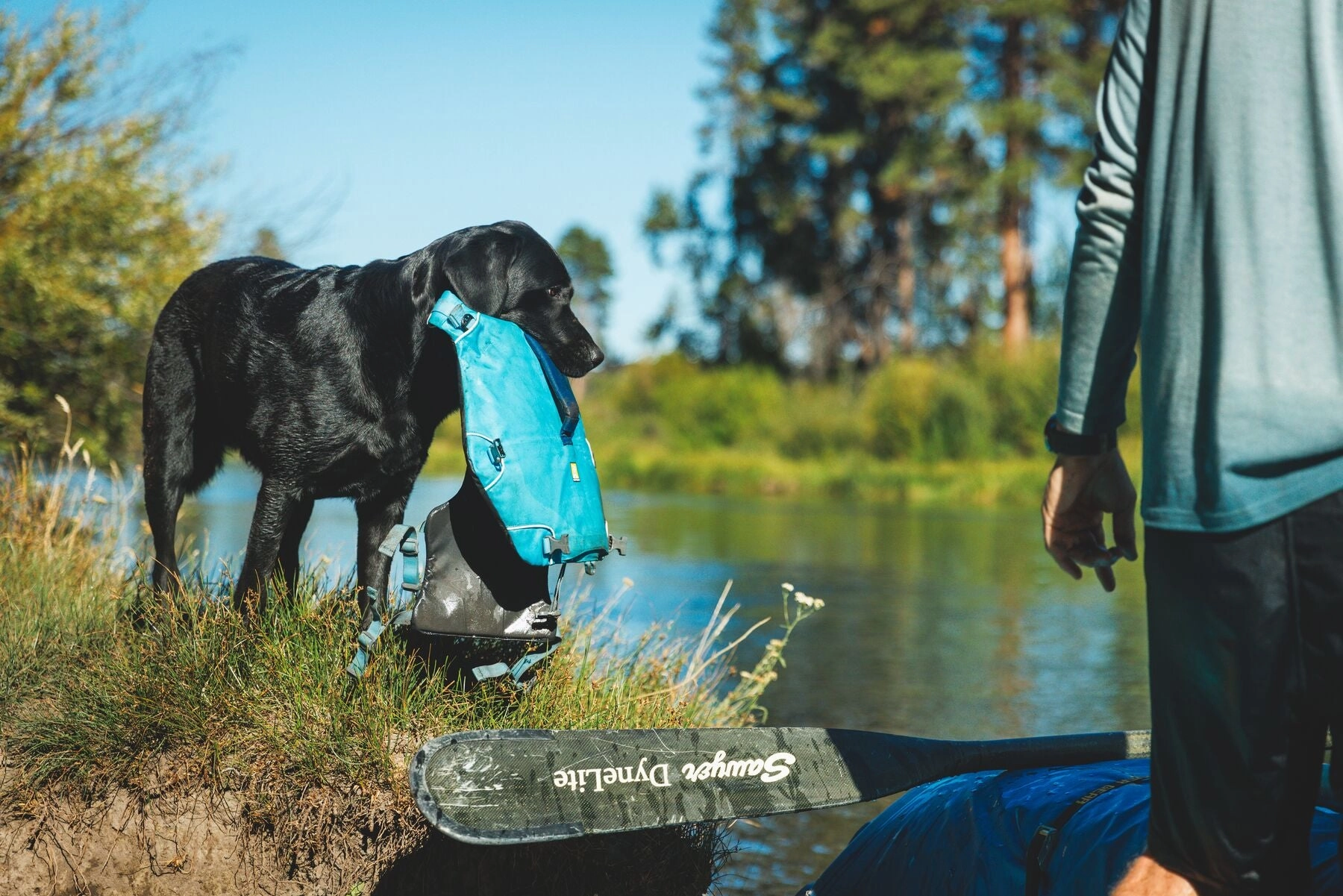 Ruffwear Confluence? Harness-Style Dog Life Jacket (Tangelo Orange)