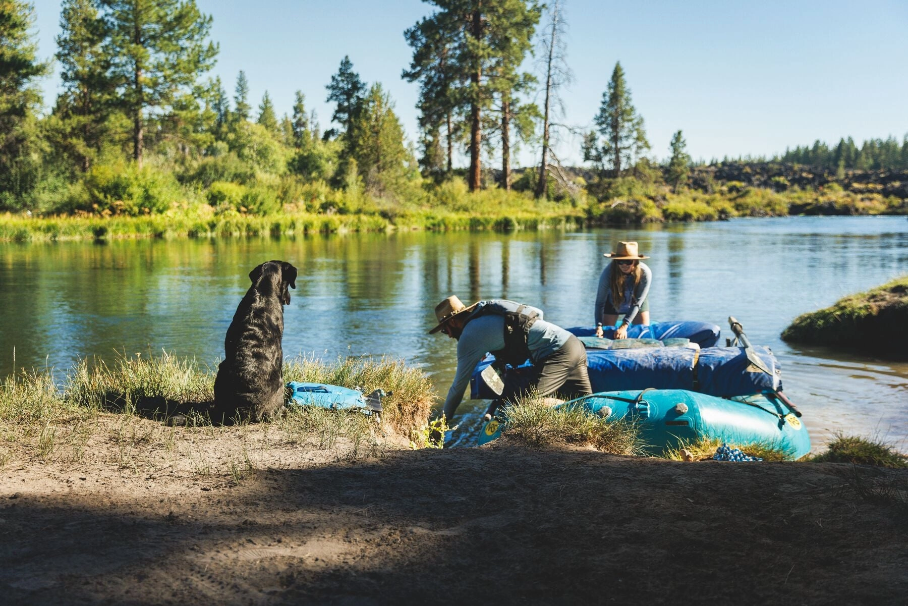 Ruffwear Confluence? Harness-Style Dog Life Jacket (Tangelo Orange)