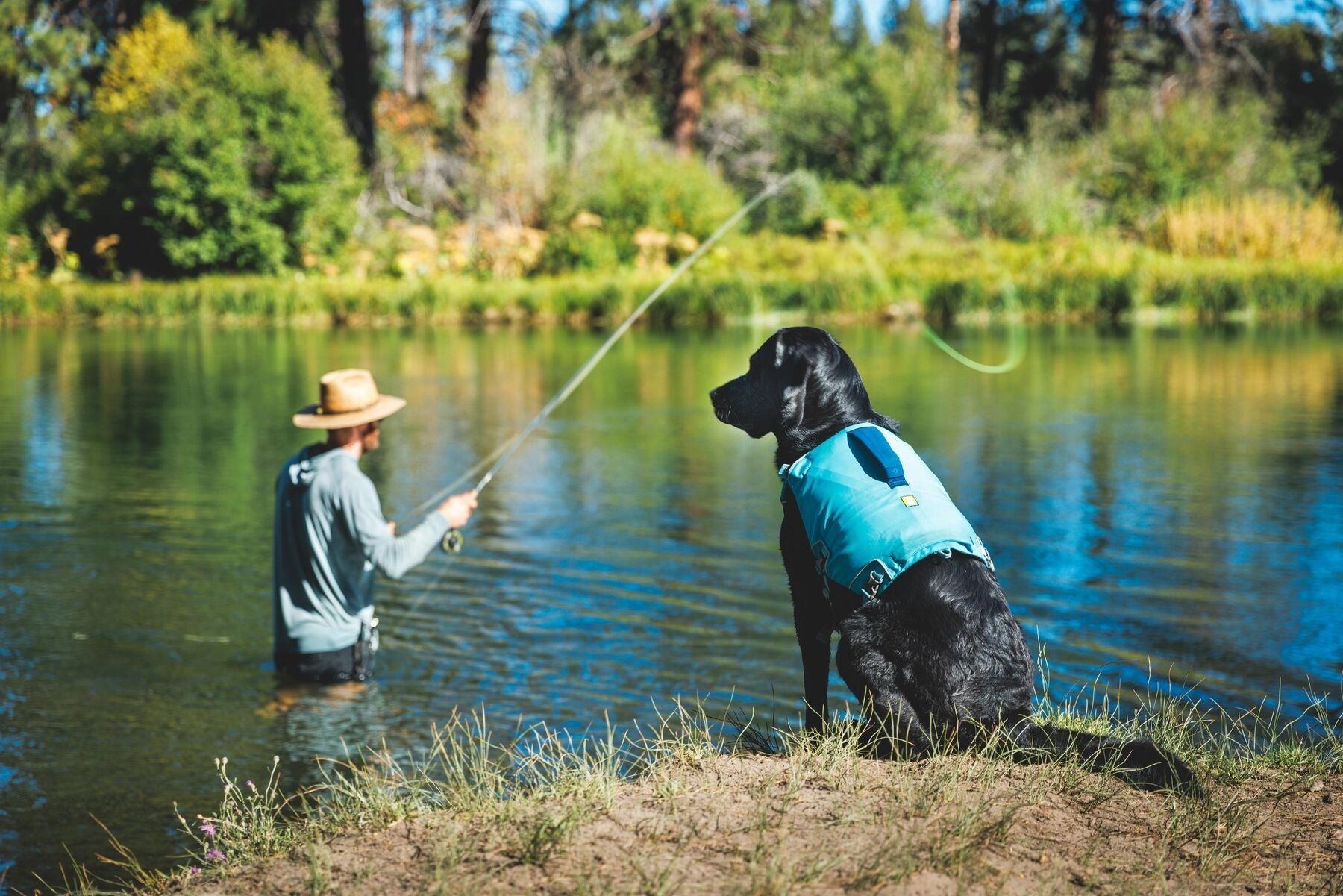 Ruffwear Confluence? Harness-Style Dog Life Jacket (Tangelo Orange)