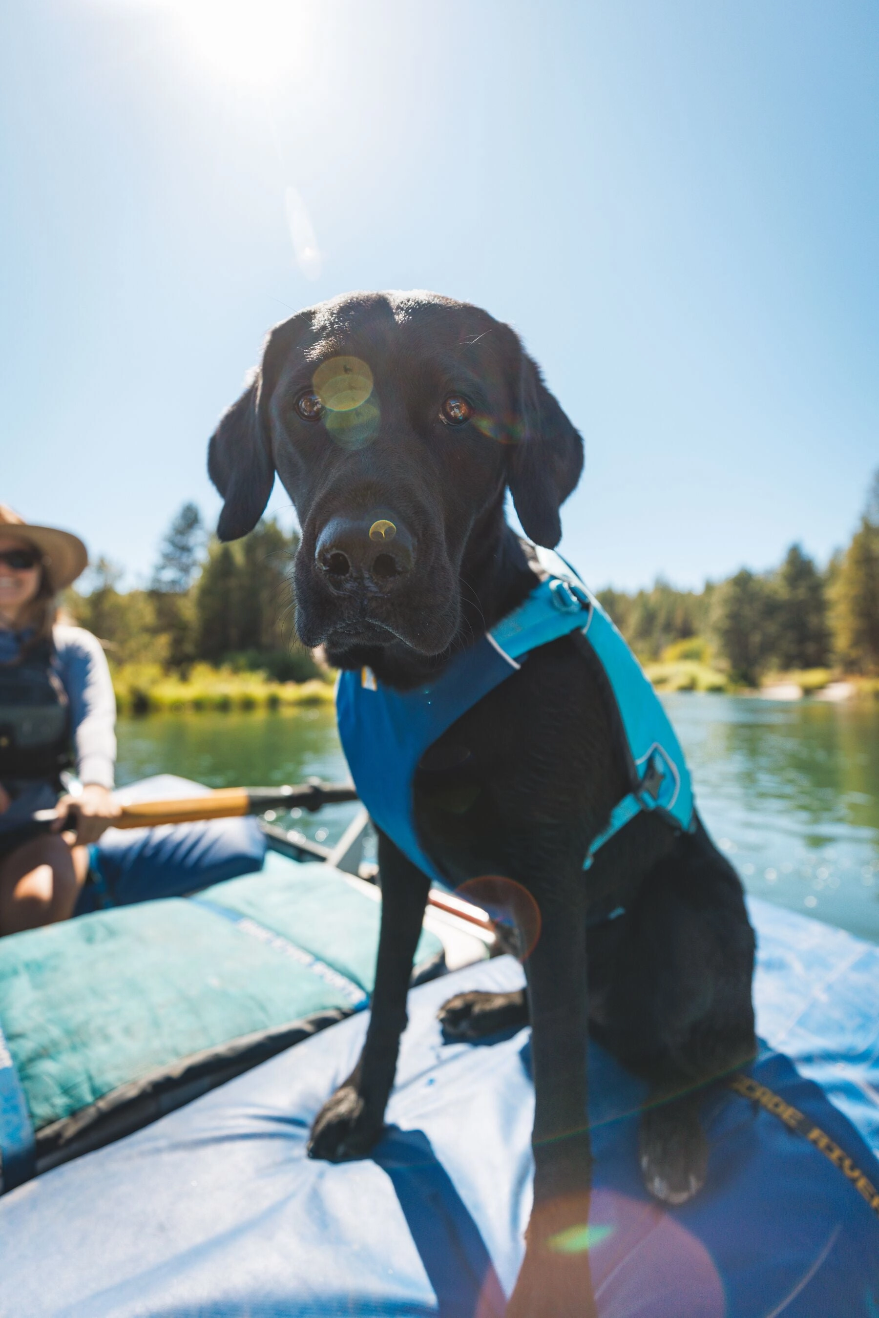 Ruffwear Confluence Harness-Style Dog Life Jacket (Tangelo Orange)