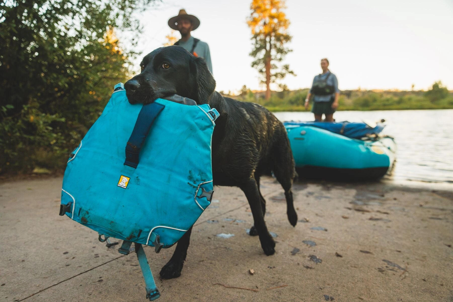Ruffwear Confluence? Harness-Style Dog Life Jacket (Tangelo Orange)