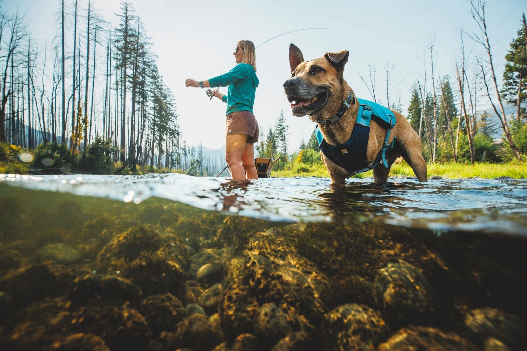 Ruffwear Confluence? Harness-Style Dog Life Jacket (Tangelo Orange)