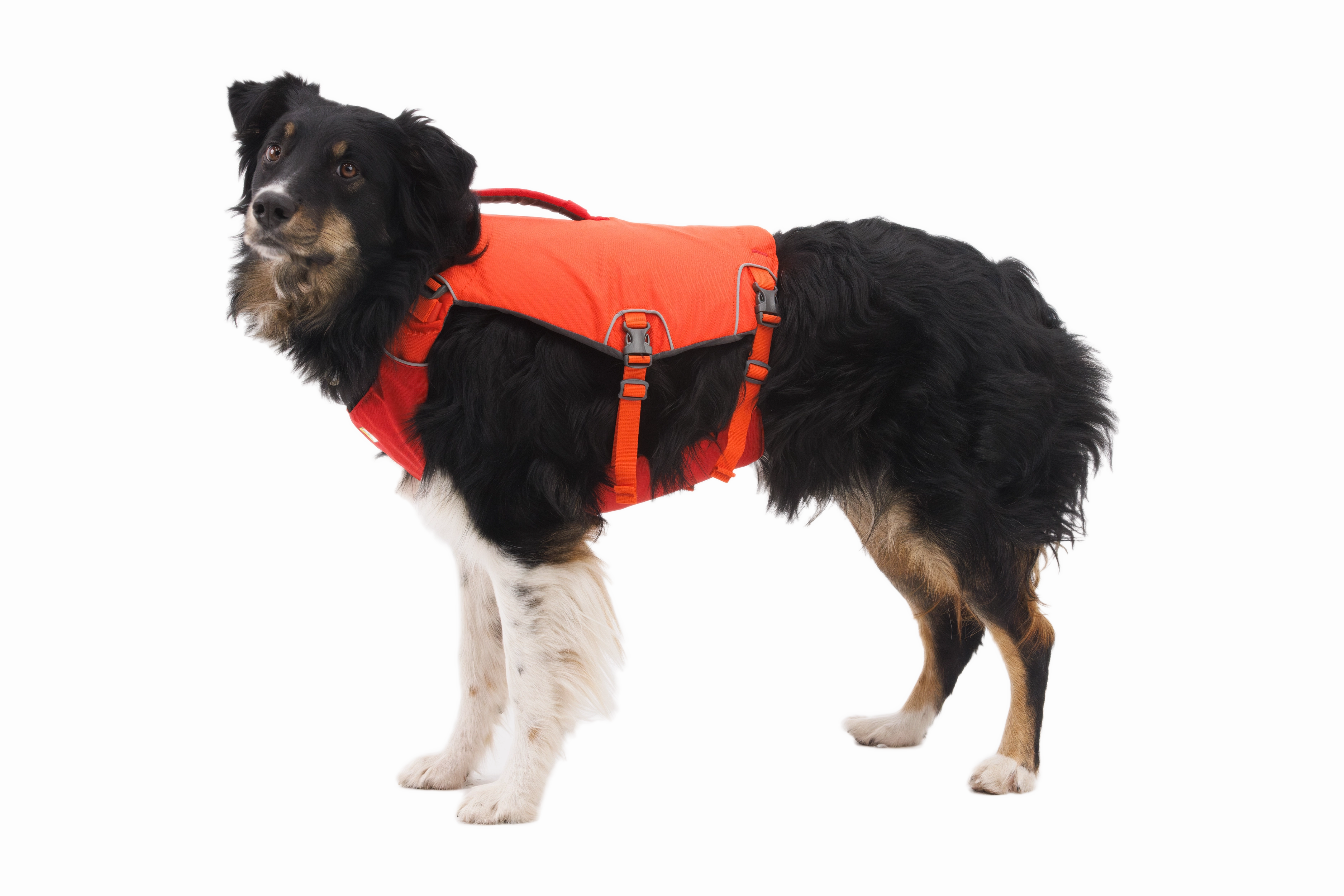 Ruffwear Confluence? Harness-Style Dog Life Jacket (Tangelo Orange)
