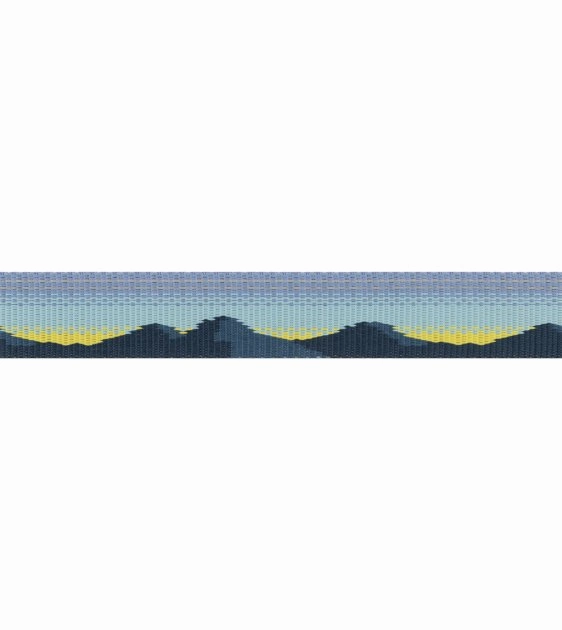 Ruffwear Crag EX? Reflective & Multi-Use Dog Leash (Alpine Dawn)